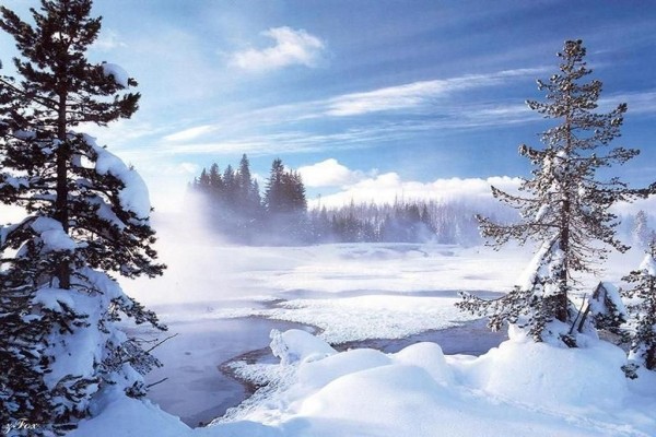Create a magical Winter Wonderland